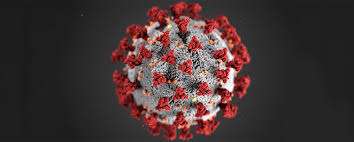 Sweden’s Covid strategy a failure, Corona virus commission tell us.